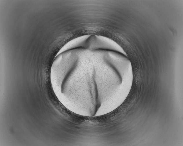 X0000113000455200909241305