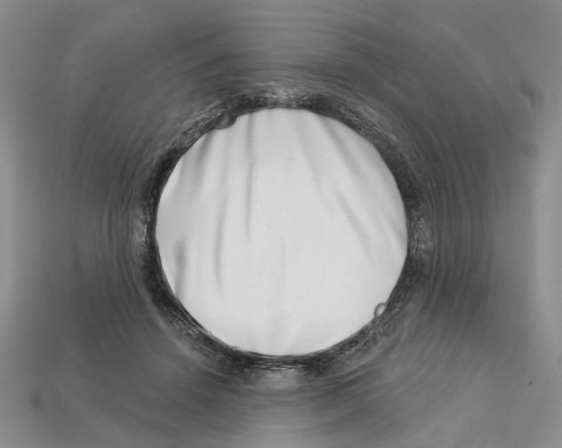 X0000113000456200909241305