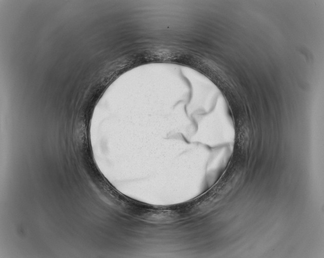 X0000113000459200909241305