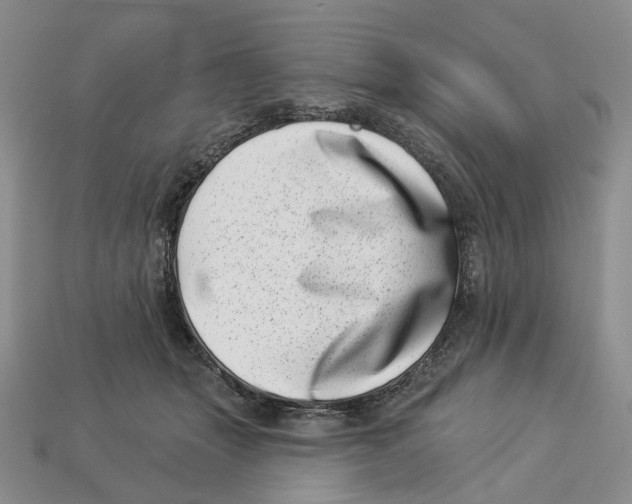 X0000113000463200909241305