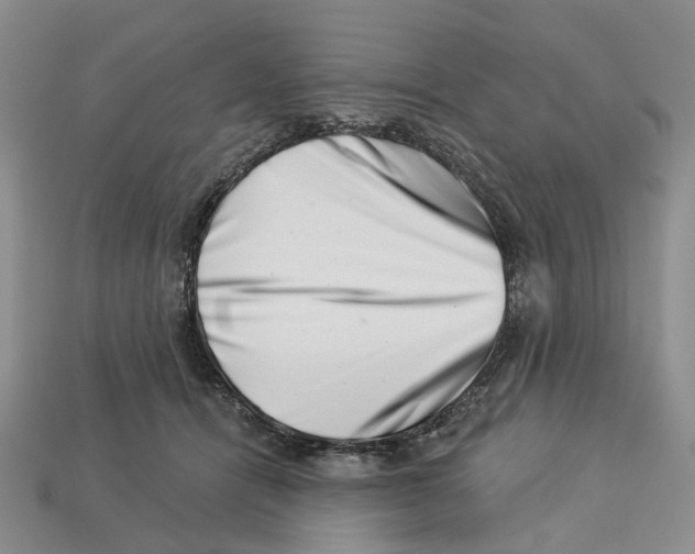 X0000113000464200909241305