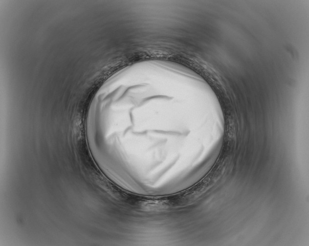 X0000113000465200909241305