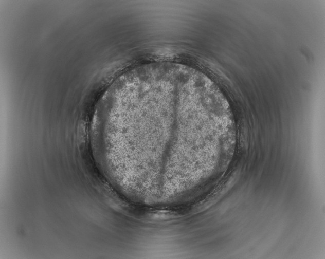 X0000113000467200909241305