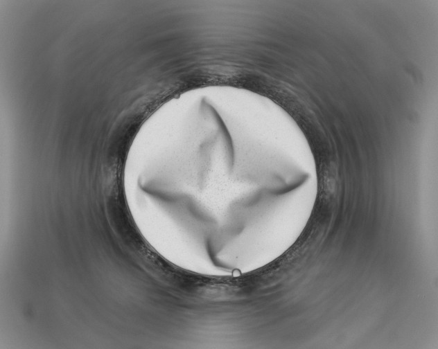 X0000113000468200909241305