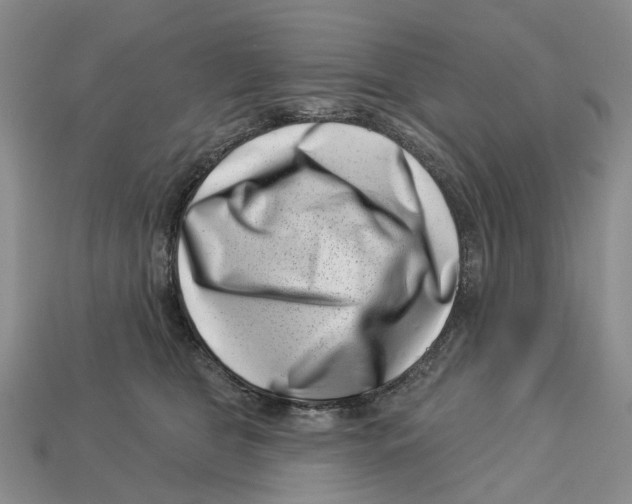 X0000113000469200909241305