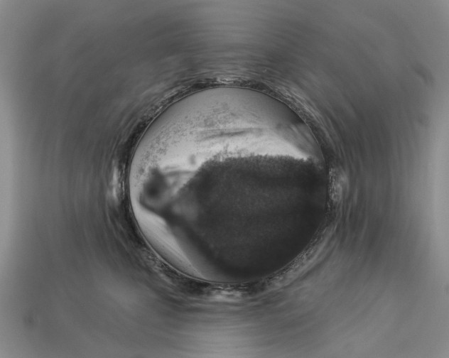 X0000113000471200909241305