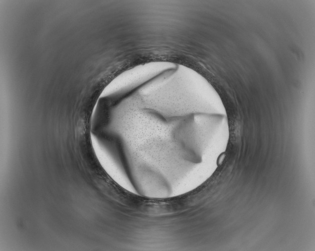 X0000113000472200909241305