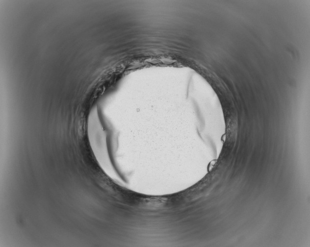 X0000113000474200909241305