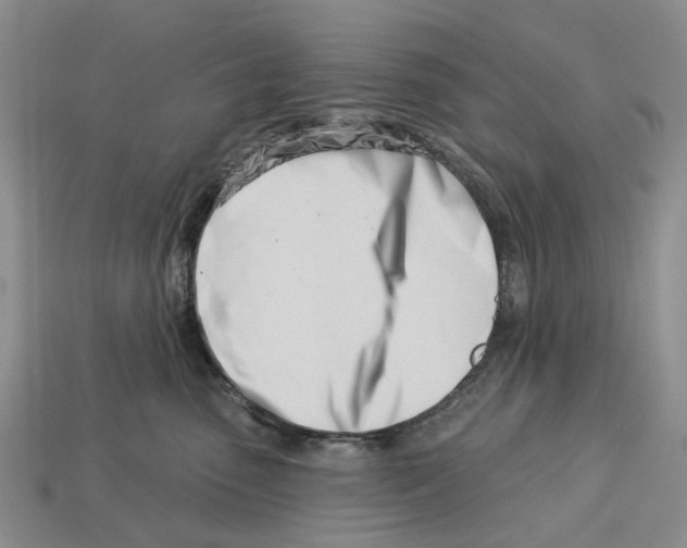 X0000113000475200909241305