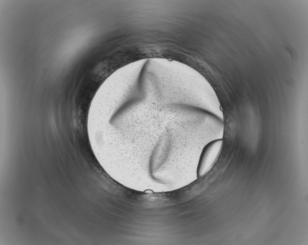 X0000113000477200909241305