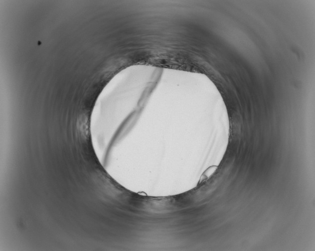 X0000113000479200909241305