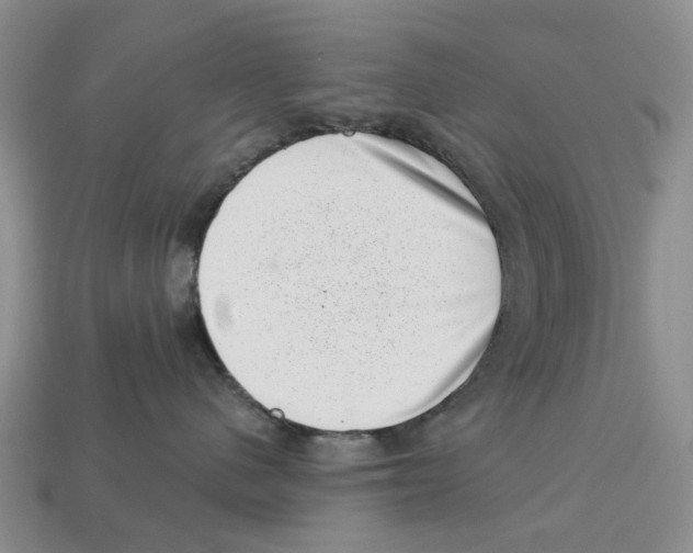 X0000113000480200909241305