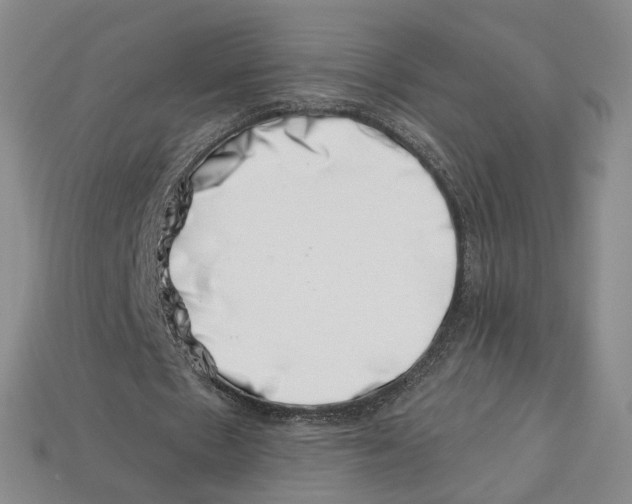 X0000113000481200909241304