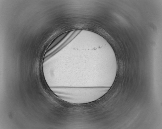 X0000113000482200909241304