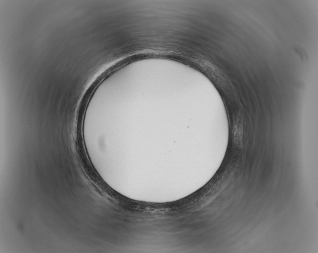 X0000113000484200909241304