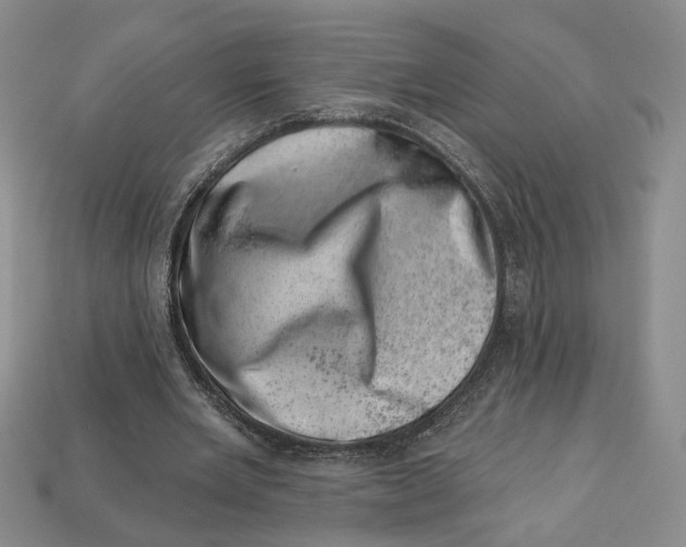 X0000113000485200909241304