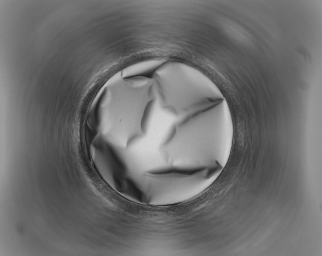 X0000113000486200909241304