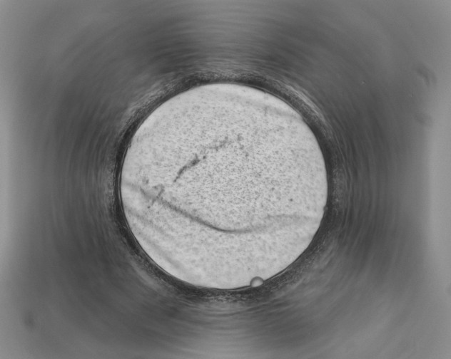 X0000113000489200909241304