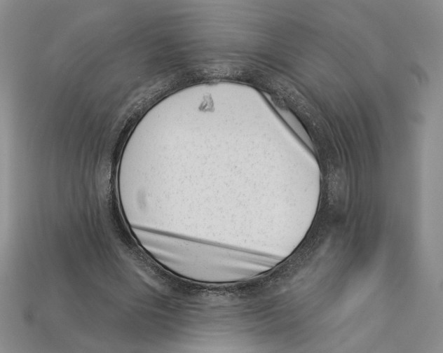 X0000113000490200909241304