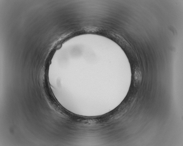 X0000113000492200909241304