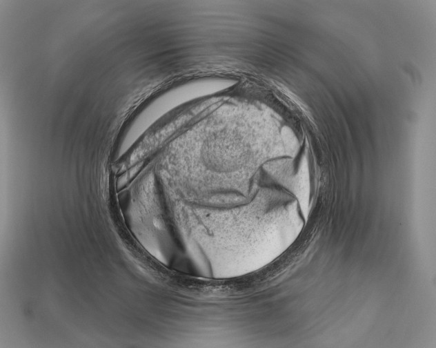 X0000113000493200909241304