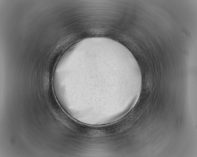 X0000113000494200909241304