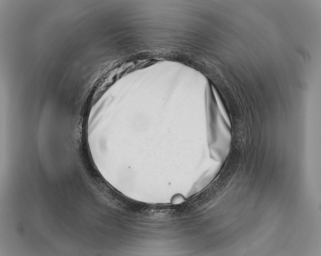 X0000113000495200909241304