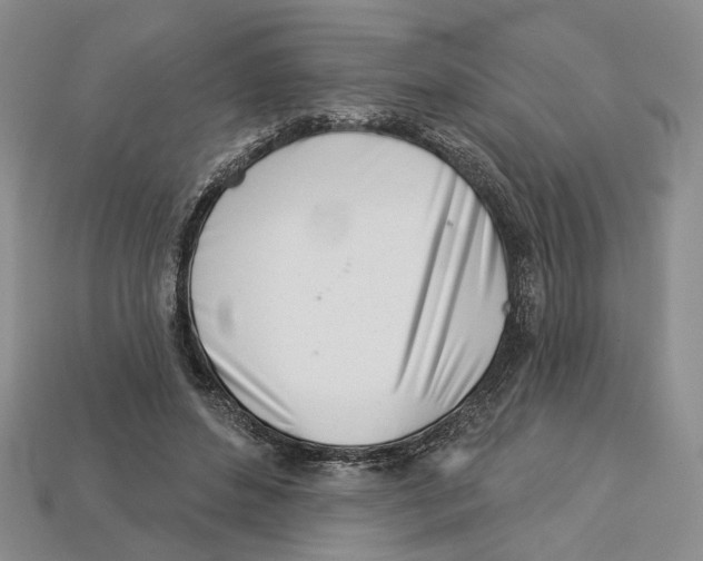 X0000113000496200909241304