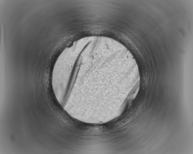 X0000113000497200909241304