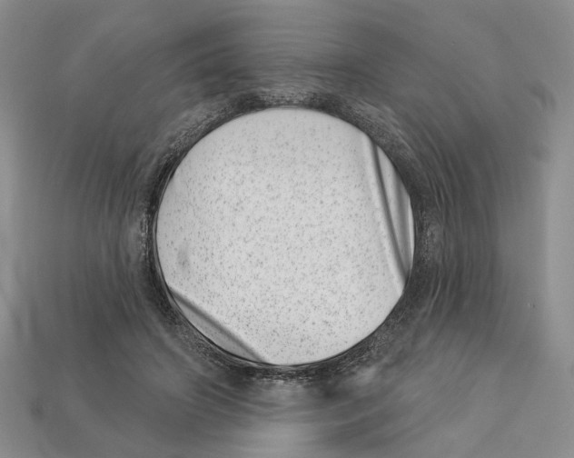 X0000113000498200909241304