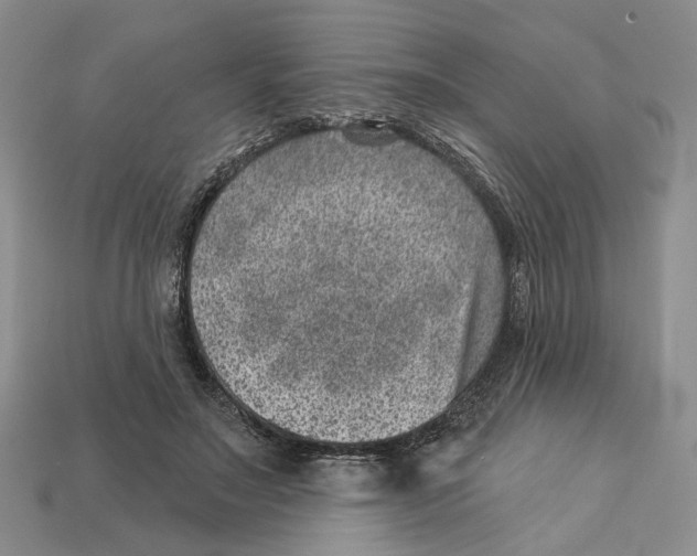 X0000113000499200909241304