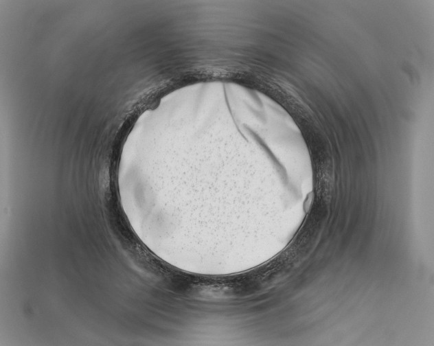 X0000113000500200909241304