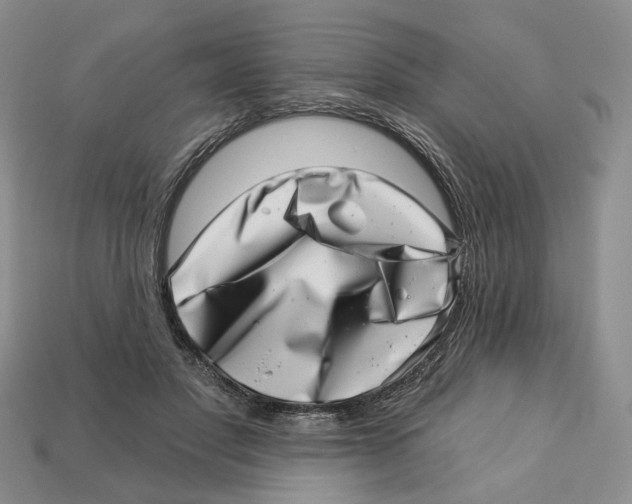 X0000113000501200909241304