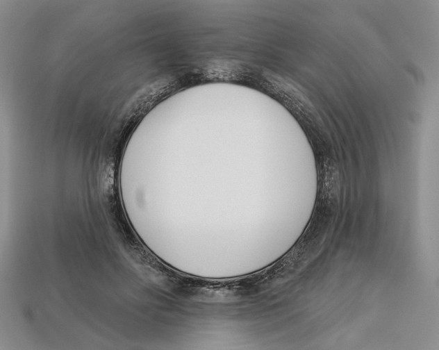 X0000113000502200909241304