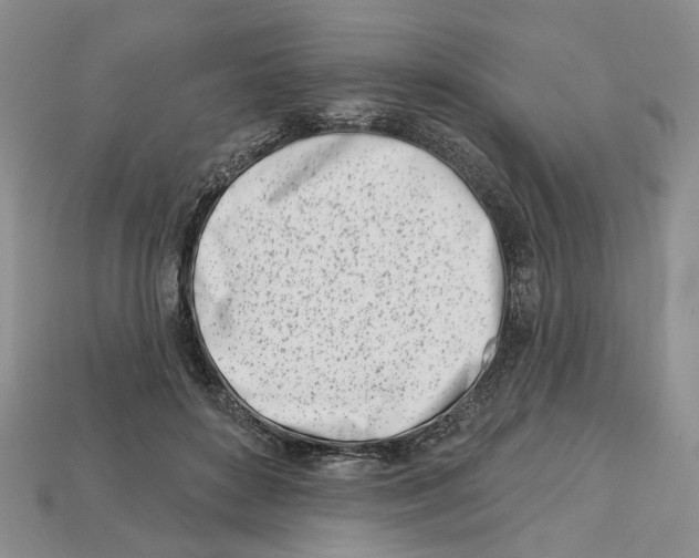 X0000113000504200909241304