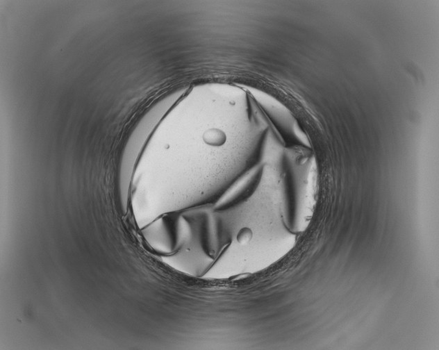 X0000113000505200909241304