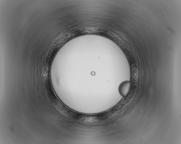 X0000113000507200909241304