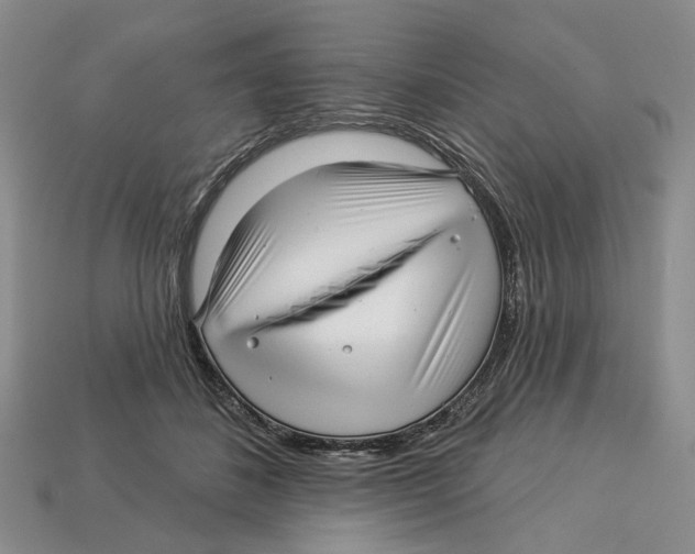 X0000113000508200909241304