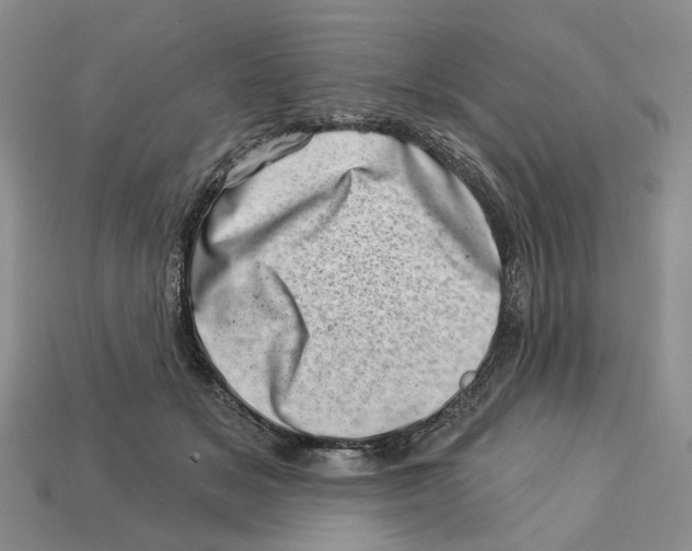 X0000113000509200909241304