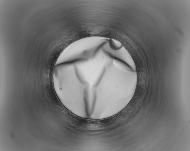 X0000113000510200909241304