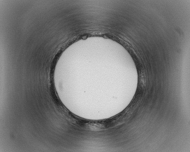 X0000113000512200909241304