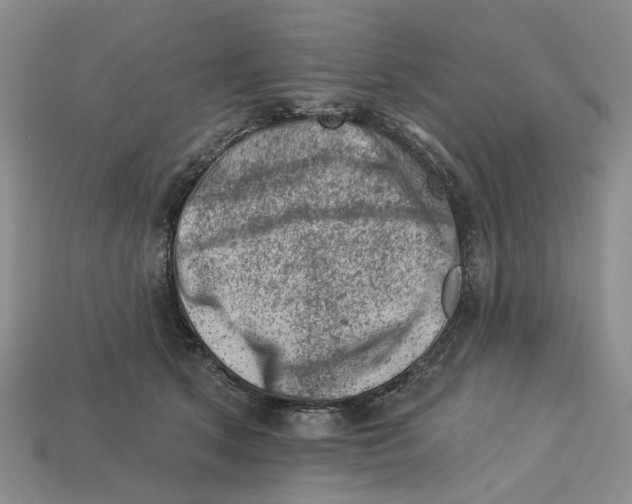 X0000113000513200909241304