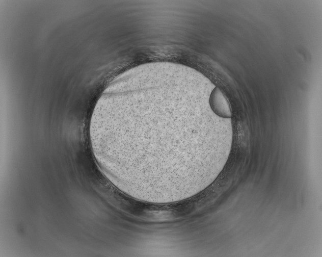 X0000113000514200909241304