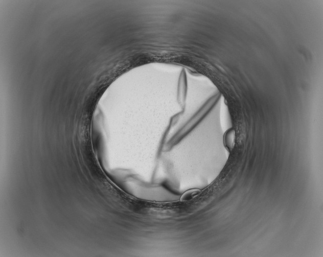 X0000113000515200909241304