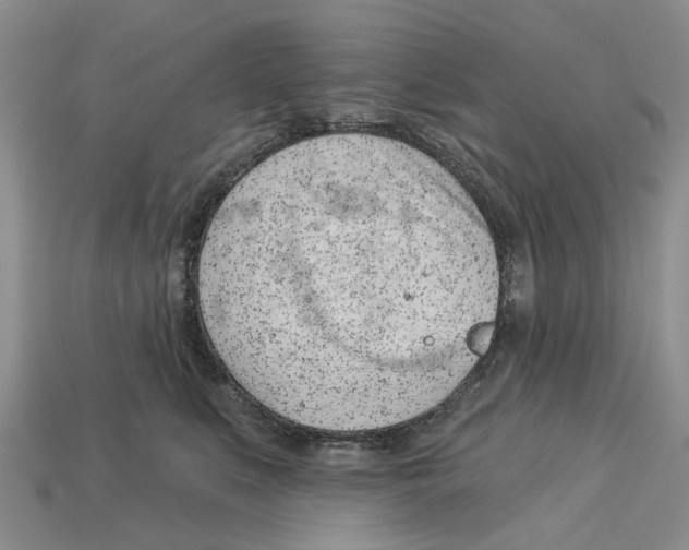 X0000113000519200909241304