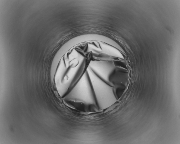 X0000113000521200909241304