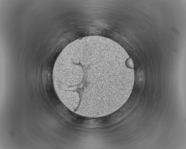 X0000113000522200909241304