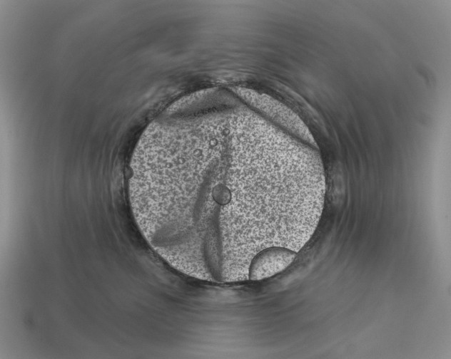 X0000113000523200909241304