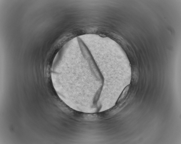 X0000113000525200909241304