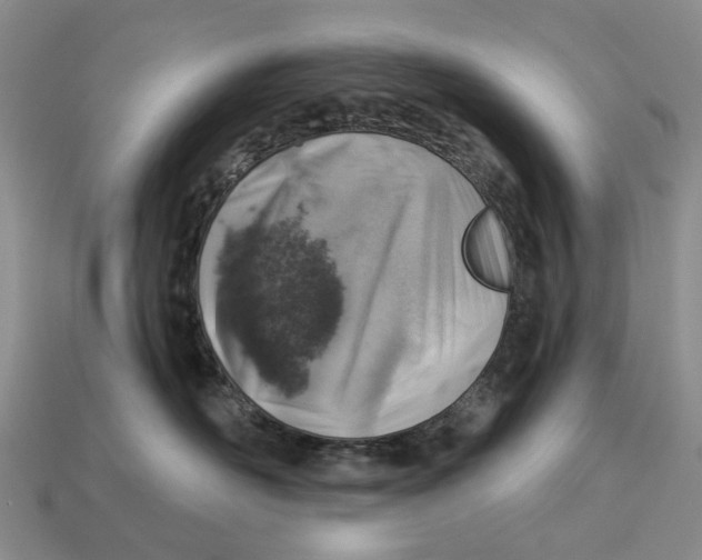 X0000113000526200909241304